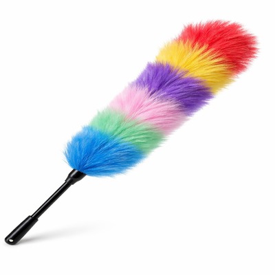 FEATHER DUSTER